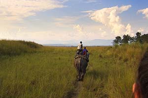 Safari Chitwan (Nepal)